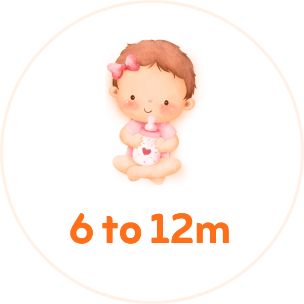 6m-12m